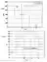 Fig. 06 - Method of forecasting the electrical production of a photovoltaic device