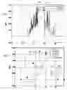 Fig. 09 - Method of forecasting the electrical production of a photovoltaic device