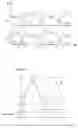 Fig. 06 - Control device for electric-powered vehicle, and electric-powered vehicle with control device as well as control method for electric-powered vehicle, and computer-readable recording medium bearing program for causing computer to execute control method