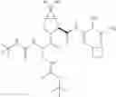 Fig. 331 - ALGORITHM FOR DESIGNING IRREVERSIBLE INHIBITORS