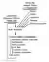 Fig. 01 - Process of dialogue and discussion
