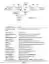 Fig. 07 - Process of dialogue and discussion