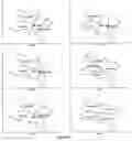 Fig. 07 - Methods and systems for multi-participant interactive evolutionary computing