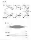 Fig. 09 - SYSTEM AND METHOD FOR REPRESENTING N-LINKED GLYCAN STRUCTURES