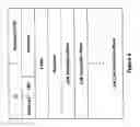 Fig. 09 - Channel subsystem server time protocol commands