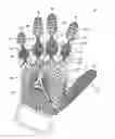 Fig. 01 - GLOVE