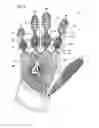 Fig. 06 - GLOVE