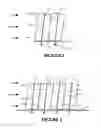 Fig. 02 - Engineered Wood Construction System for High Performance Structures