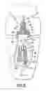 Fig. 06 - Steam appliance with diffuser