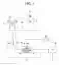 Fig. 02 - Ion current detector