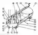 Fig. 01 - Inflatable Solar Collector