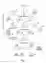 Fig. 02 - METHOD FOR REMOVING OIL FROM OIL-CONTAMINATED MATERIAL