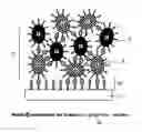 Fig. 01 - Conductive paste and method for manufacturing the same, wiring using the conductive paste and method for manufacturing the same