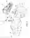 Fig. 04 - ELECTRIC GOLF BAG CART