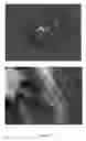 Fig. 124 - Continuous methods for treating liquids and manufacturing certain constituents (e.g., nanoparticles) in liquids, apparatuses and nanoparticles and nanoparticle/liquid solution(s) therefrom