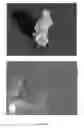 Fig. 131 - Continuous methods for treating liquids and manufacturing certain constituents (e.g., nanoparticles) in liquids, apparatuses and nanoparticles and nanoparticle/liquid solution(s) therefrom