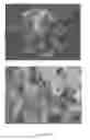 Fig. 136 - Continuous methods for treating liquids and manufacturing certain constituents (e.g., nanoparticles) in liquids, apparatuses and nanoparticles and nanoparticle/liquid solution(s) therefrom