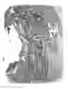 Fig. 02 - Engine oil cap protector