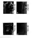 Fig. 09 - Mechanically robust, electrically conductive ultralow-density carbon nanotube-based aerogels