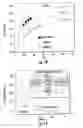 Fig. 09 - Selectively doped semi-conductors and methods of making the same