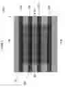 Fig. 07 - High performance flash memory devices
