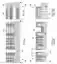 Fig. 06 - Method To Create SOI Layer For 3D-Stacking Memory Array
