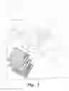 Fig. 02 - Children's organizational notebooks