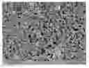 Fig. 01 - LED CONVERSION PHOSPHORS IN THE FORM OF CERAMIC DODIES