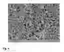 Fig. 03 - LED CONVERSION PHOSPHORS IN THE FORM OF CERAMIC DODIES