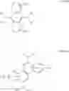 Fig. 19 - Deuterated compounds for luminescent applications