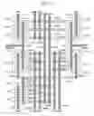 Fig. 09 - Operational amplifier and pipeline AD converter