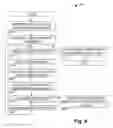 Fig. 09 - Video customization and presentation systems and methods