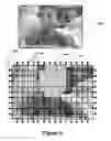 Fig. 19 - Perfecting the effect of flash within an image acquisition devices using face detection