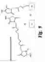 Fig. 08 - Sub-micron surface plasmon resonance sensor systems