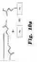 Fig. 09 - Sub-micron surface plasmon resonance sensor systems