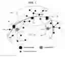 Fig. 02 - Location tracking method in coordinator-based wireless network