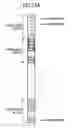 Fig. 12 - Transmitter and transmission method