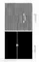 Fig. 31 - Method for acquiring phase information and system for measuring three dimensional surface profiles