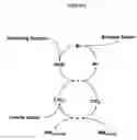 Fig. 02 - Cyclic process for the efficient generation of chlorine dioxide in dilute solutions
