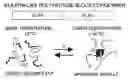 Fig. 01 - DRUG DELIVERY WITH STIMULUS RESPONSIVE BIOPOLYMERS