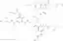 Fig. 110 - CONTRAST AGENTS
