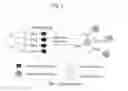 Fig. 02 - INTRAMOLECULARLY QUENCHED FLUOROCHROME CONJUGATES AND METHODS OF USE