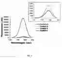 Fig. 06 - INTRAMOLECULARLY QUENCHED FLUOROCHROME CONJUGATES AND METHODS OF USE