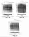 Fig. 09 - METHODS FOR THE DETECTION OF FATTY-ACYLATED PROTEIN