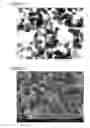 Fig. 02 - Cocoon-shaped rutile-type titanium dioxide, as well as cosmetics and external additives for toner comprising the same