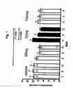 Fig. 08 - Dose forms comprising VX-950 and their dosage regimen