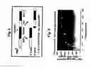 Fig. 09 - Dose forms comprising VX-950 and their dosage regimen