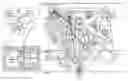 Fig. 01 - CARDIAC-SPECIFIC PROGENITOR CELLS