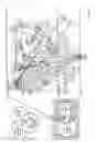 Fig. 03 - CARDIAC-SPECIFIC PROGENITOR CELLS