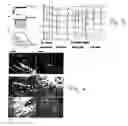 Fig. 05 - METHODS AND COMPOSITIONS TO TREAT ARRHYTHMIAS